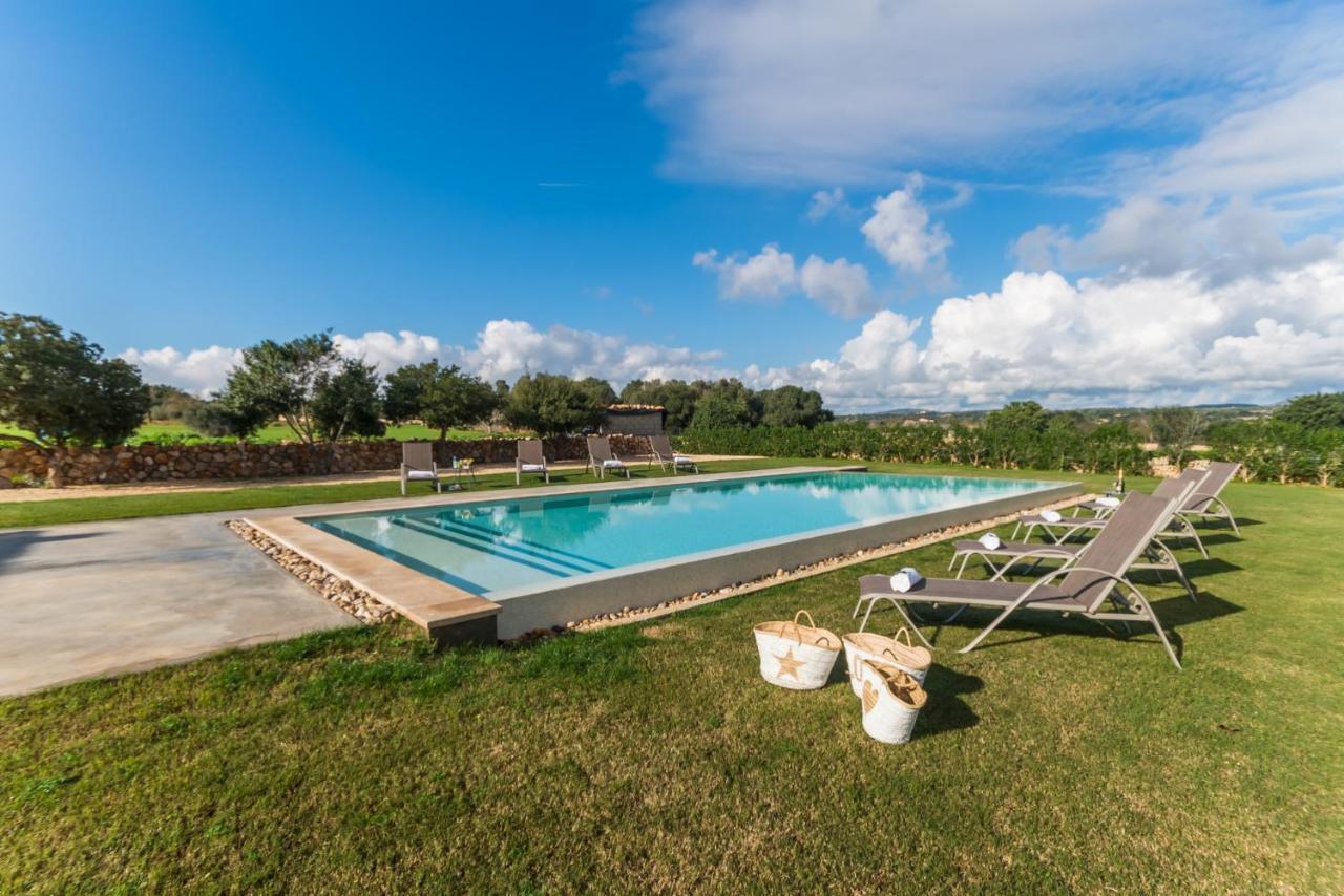 Ideal Mallorca - Pleta *