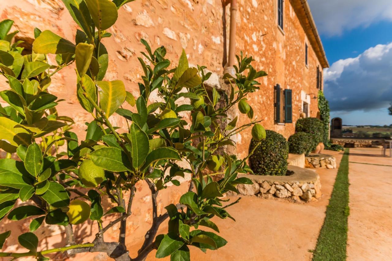 Ideal Mallorca - Pleta Landhaus