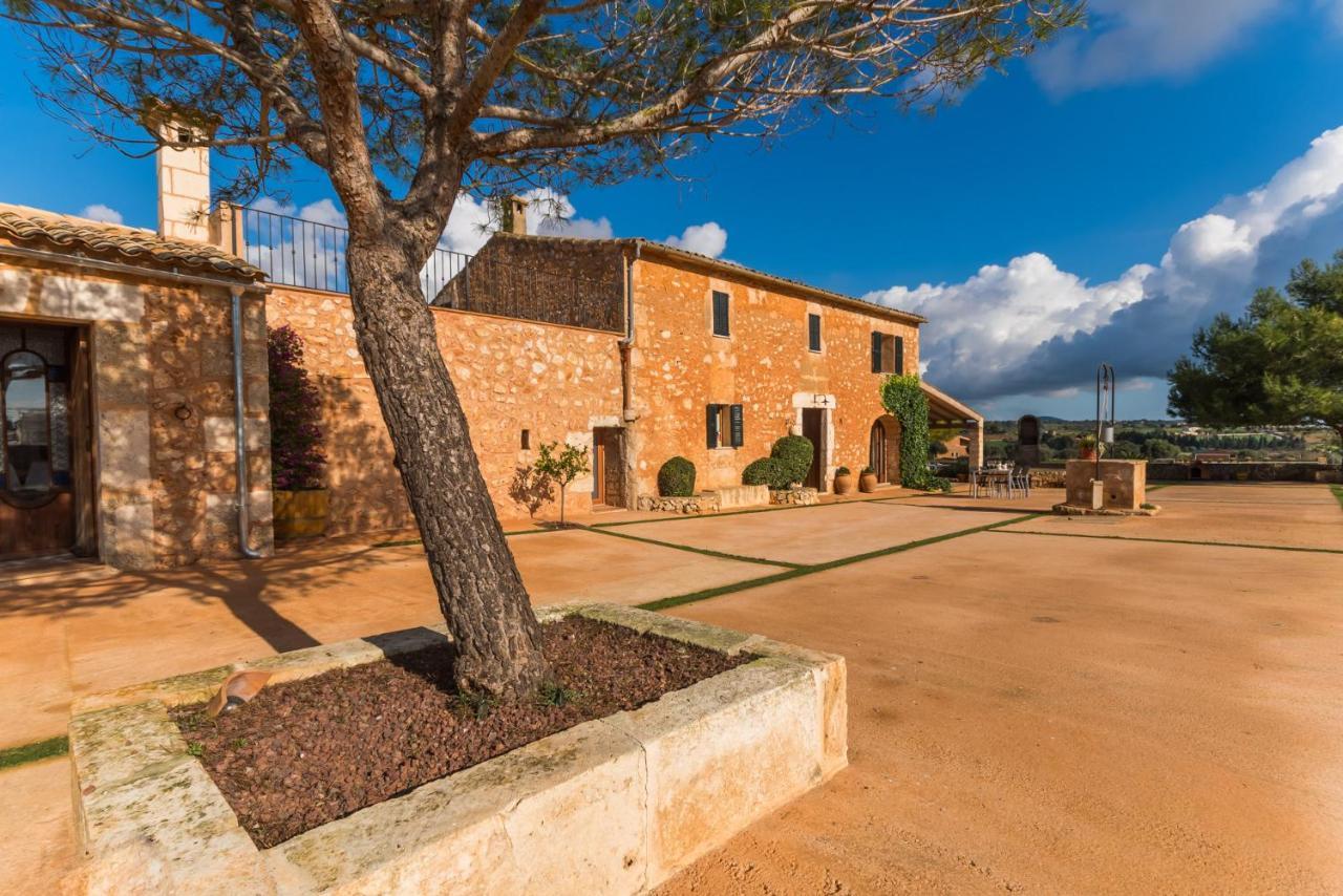 Ideal Mallorca - Pleta *