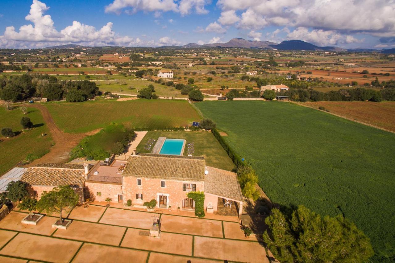 Ideal Mallorca - Pleta * Manacor (Mallorca)