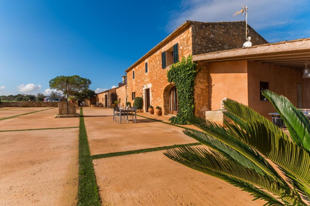 Landhaus Ideal Mallorca - Pleta Manacor (Mallorca)